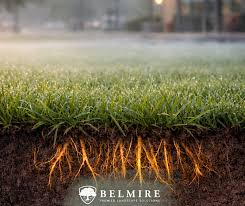 A Healthier Lawn Starts Below the Surface